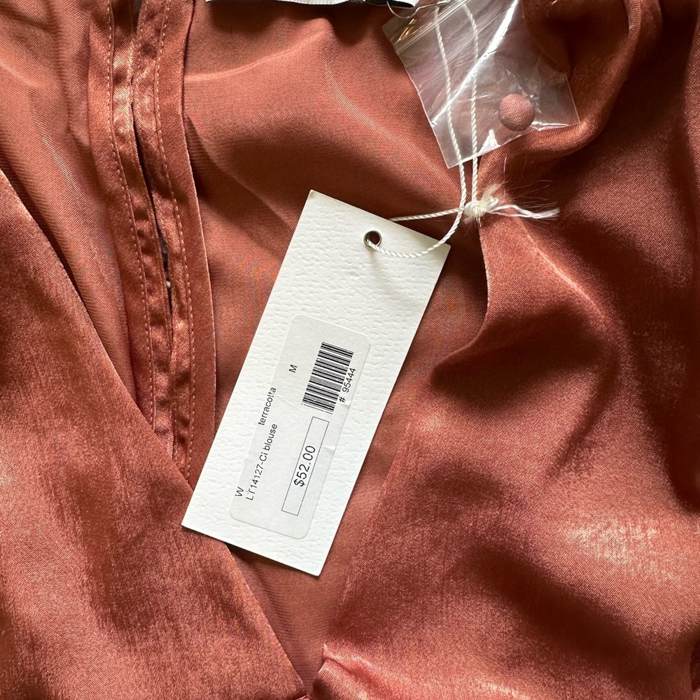 Rust Blouse - Picture 3 of 3